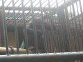 IMGP0878.JPG